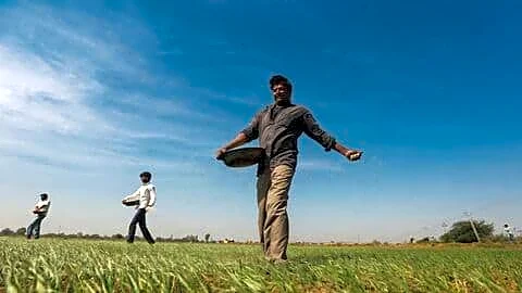 Indian government confident stocks and production meet July-September fertilizer demand