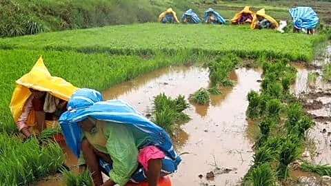 India's rainfall deficit narrows to 12% despite El Nino persistence