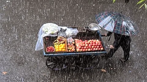 Meteorologists forecast India's southwest monsoon pause July 13 to 20