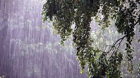 IMD says rain likely to ease across central India Thursday