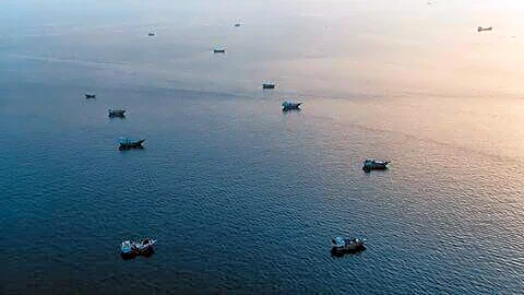 India's 198 crew stranded amid Strait of Hormuz traffic drop