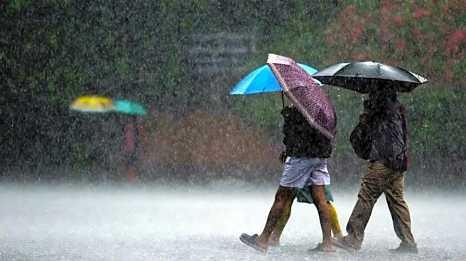 El Nino could disrupt India's monsoon, IMD warns
