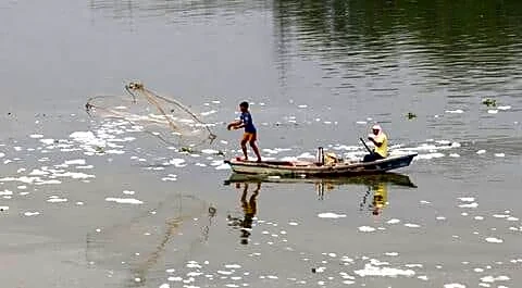 Heavy hill rains drive Delhi Yamuna inflow near 39,000 cusecs