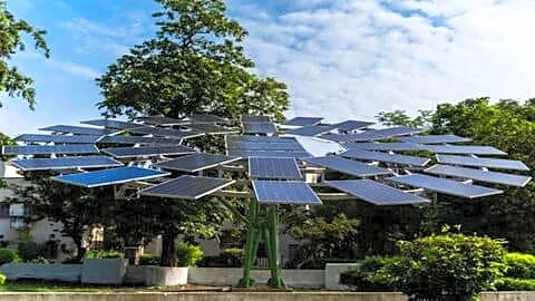 Rekha Gupta-led government to install Delhi's 1st solar tree