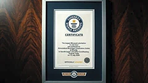 Ahmedabad plants 361,000 saplings in 1 hour, sets Guinness record