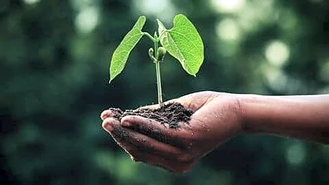 Manjinder Singh Sirsa announces Delhi will plant 70L native trees