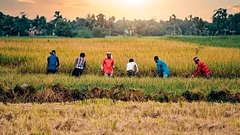 India's monsoon erratic with June drought and July downpours