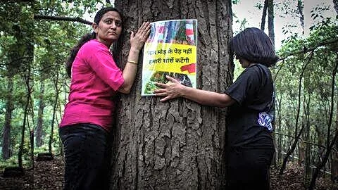 Uttarakhand government pauses felling of 3,000 highway trees after protests