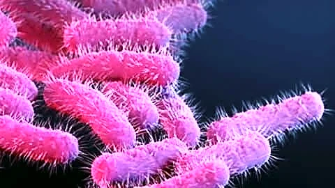 Shigellosis case at Government Engineering College in Wayanad, 4 hospitalized