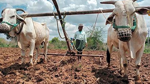 Maharashtra kicks off Punyashlok Ahilyadevi Holkar Shetkari Karjmukti Yojana 2026