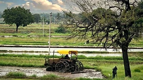 Telangana farming struggles in Vanakalam as El Nino reduces water