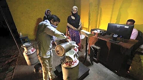Maharashtra FDA seizes 160,000L adulterated milk, Mumbai supply cleaned up