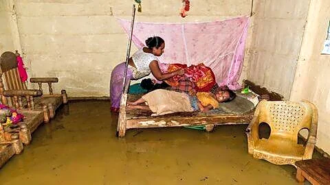 Assam flood waters recede, 66 dead and over 650,000 affected
