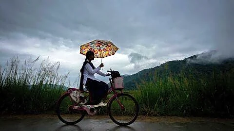Monsoon returns to northwest India July 28, aiding paddy farmers