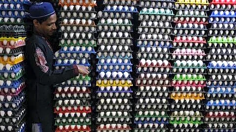 Bengaluru egg prices reach ₹8-₹8.50 amid transport and drought