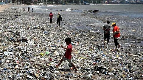 Mumbai beaches littered with 2,500 metric tons of garbage