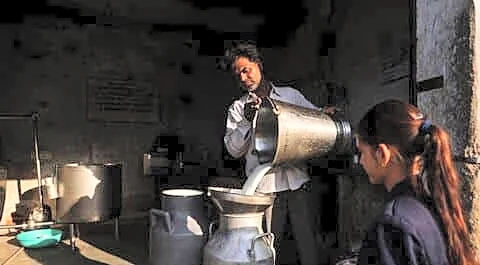 Maharashtra milk drops 751,000-liter after FDA fake milk raids