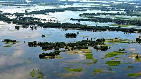 Assam floods kill 75, affect over 300,000 across 7 districts