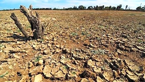 Tamil Nadu forms committee for possible El Nino in 2026