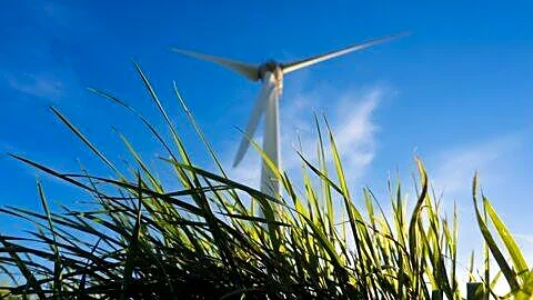India could export green hydrogen to Germany, says Philipp Ackermann