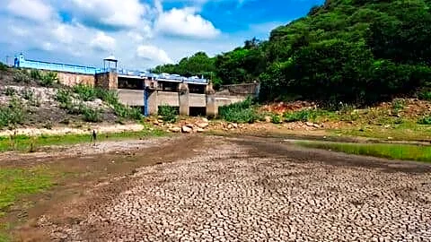 India's reservoirs at 44% capacity as 71 sit under 40%