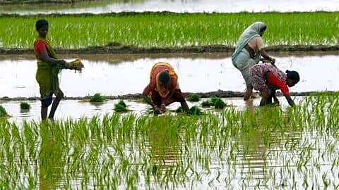 Ample fertilizer stocked for India kharif despite West Asia conflict