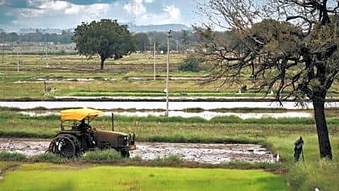 India's monsoon 13% below normal, farmers worried about crops
