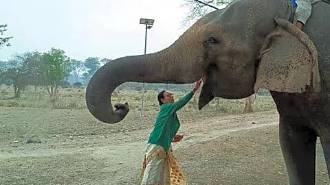 Parbati Barua: Padma Shri for wildlife conservation, pioneering mahout