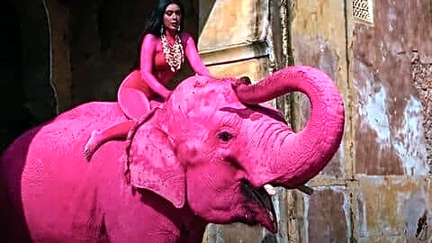 Chanchal, Jaipur's 67-year-old elephant, dies after viral gulal photo shoot
