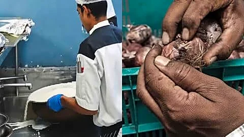 Bengaluru FDA inspects 26 luxury hotels for food safety lapses