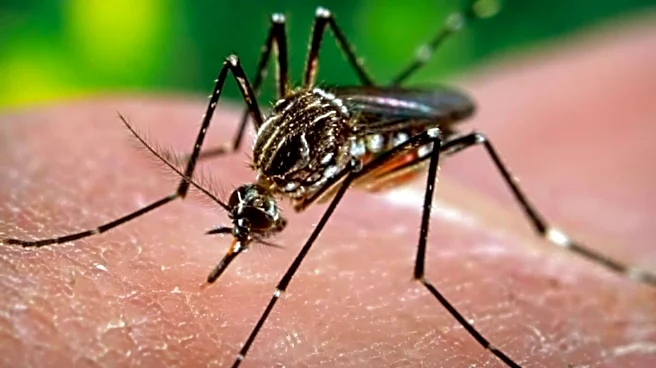 India's 1st dengue vaccine to be available by early 2027