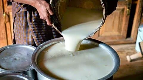 Maharashtra considers invoking MCOCA against organized milk and paneer adulteration