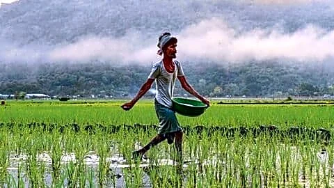 India spending ₹3.54tn on fertilizer subsidies while 1-third reaches crops