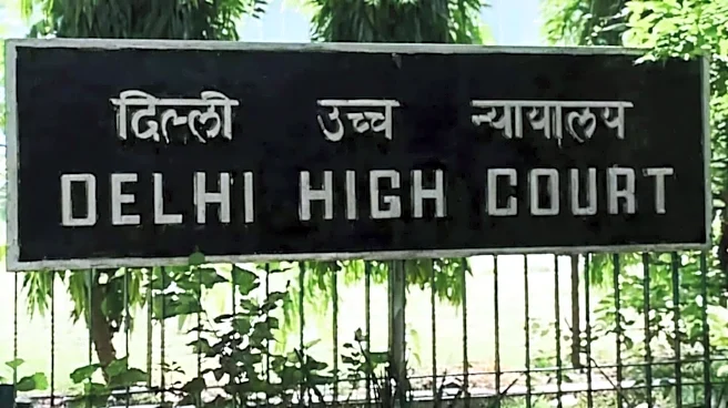 Delhi HC, IGI Airport receive bomb threat ahead of I-Day