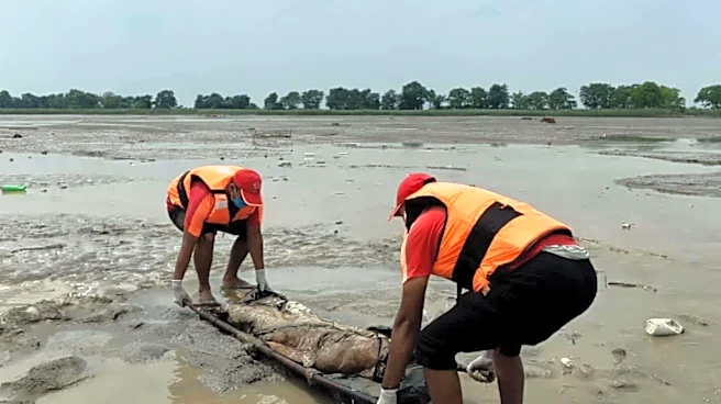 Nepal flash floods: Bodies recovered 200km downsream