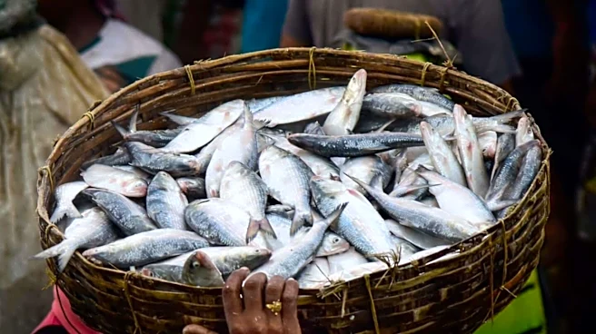 Why Bihar has advised against eating fish after Nepal flood