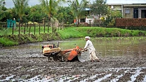 India's 2026 monsoon down 14%, farmers face tough season