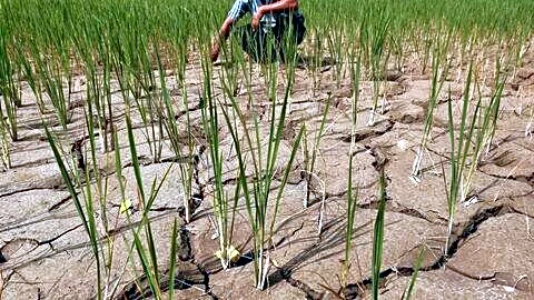 IMD says India monsoon 15% short due to El Nino
