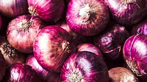 Mumbai onion prices nearly double to ₹60-70 per kg