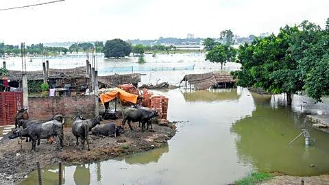 Flooding from Ganga disrupts life in Bihar and Uttar Pradesh