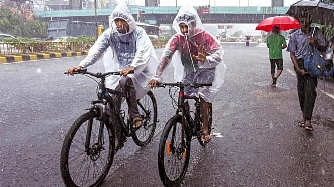 Rain, thunderstorms likely in Delhi today: IMD