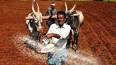 India China Russia seek stronger fertilizer supply chains at BRICS