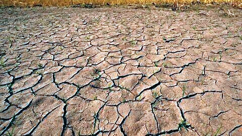 El Nino driven drought affects 53.2% of India's landmass
