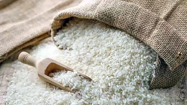 El Niño's impact could be cushioned by rice reserves