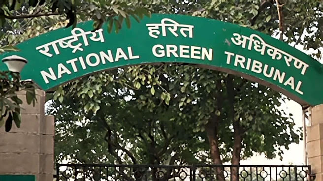 Environmental parties had 0% success rate in January-June NGT appeals
