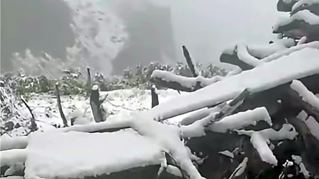 Himachal's Kinnaur records season's 1st snowfall, North India cools down