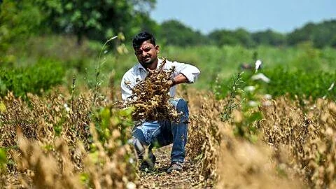Maharashtra CM Fadnavis announces ₹45,000cr drought package, ₹30,000cr to farmers