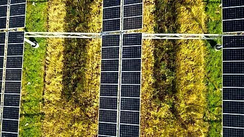 India's Union Minister Pralhad Joshi announces plan for agrivoltaic policy