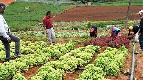 Lieutenant Governor Vinai Kumar Saxena declares Ladakh 100% organic