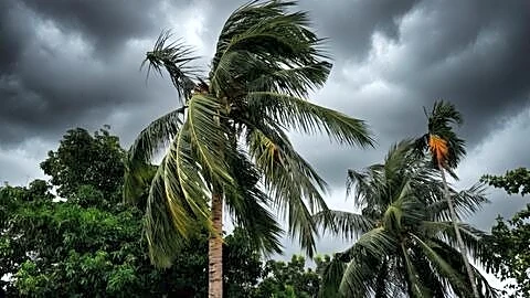 Depression over Bay of Bengal to intensify, hit Andhra Pradesh